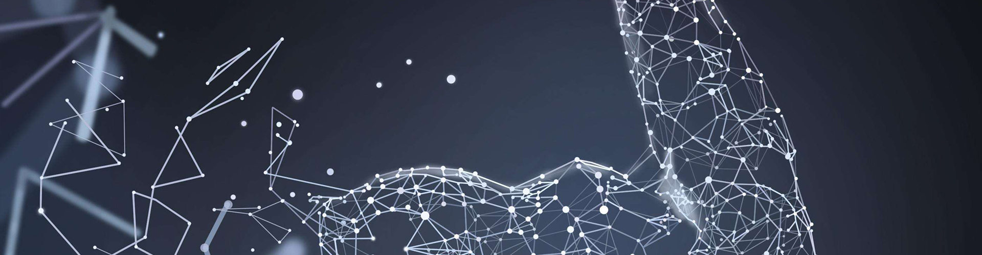 關(guān)于奧萊爾